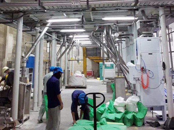 Thailand Mung Bean Peeling Line Installation and Commissioning