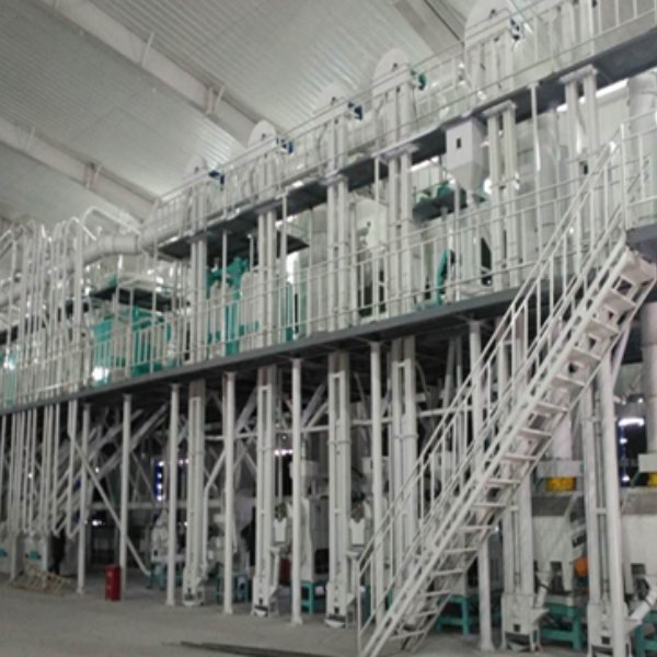 Lentil Cleaning Line