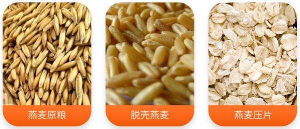 Oat Flakes Production Line