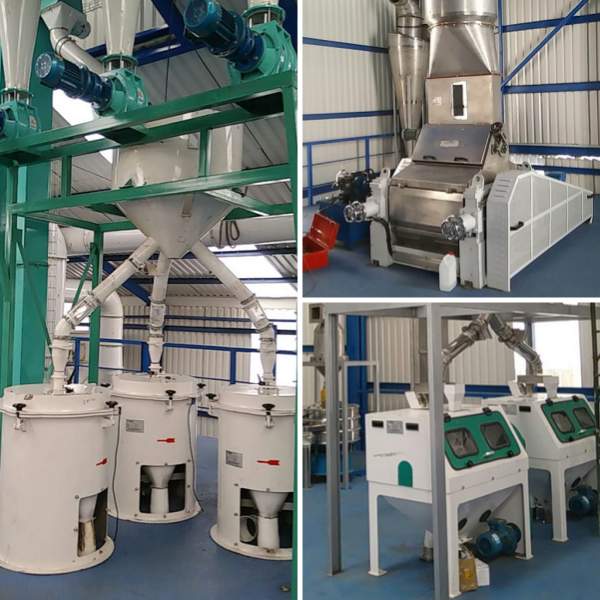 Oat Flakes Production Line